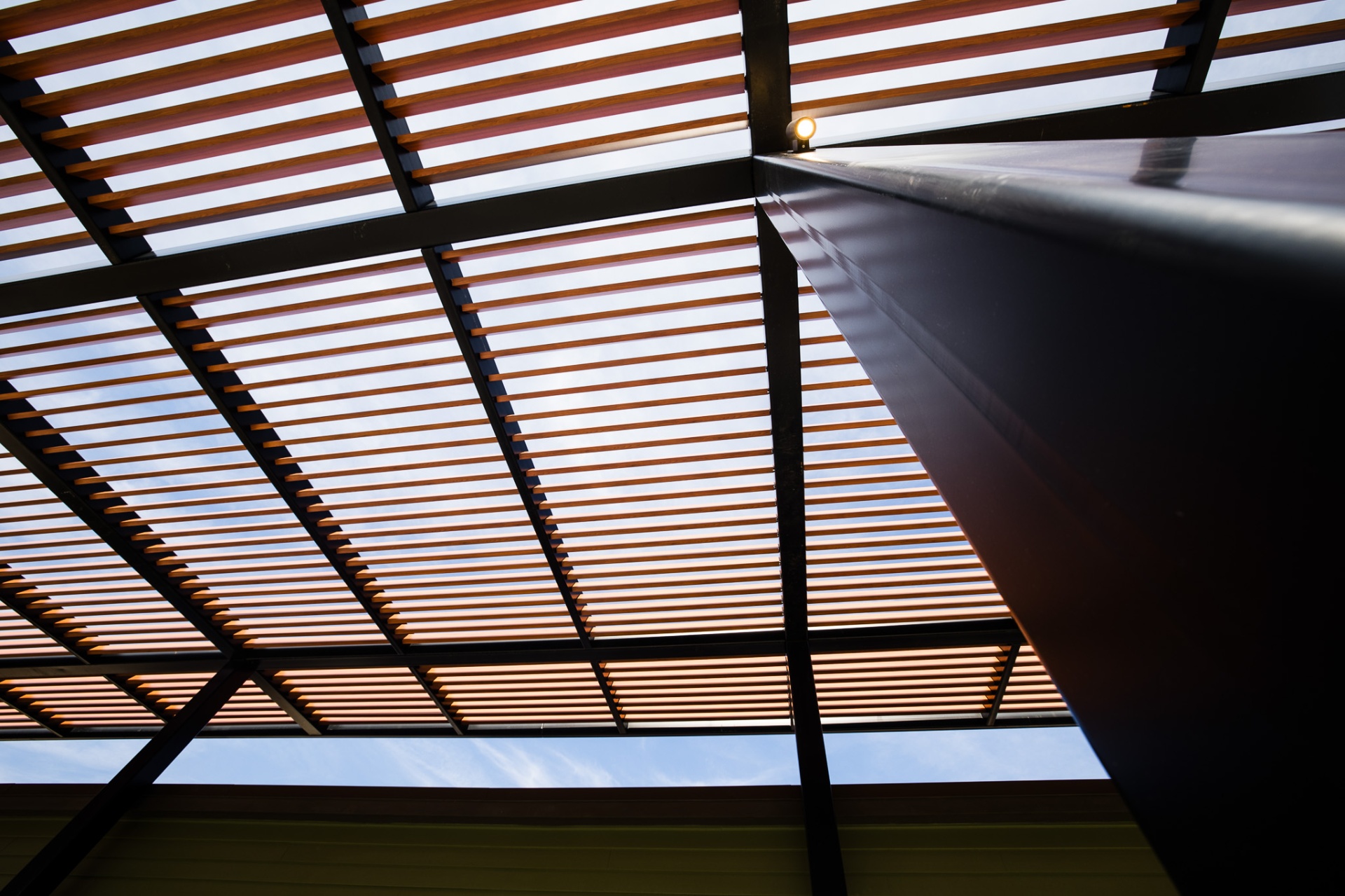 Looking up through the canopy — light passing between slats